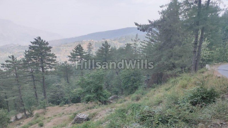 ₹80 Lac | 1.5 bigha  agriculture land suitable for apple orchard for sale  in fagu shimla
