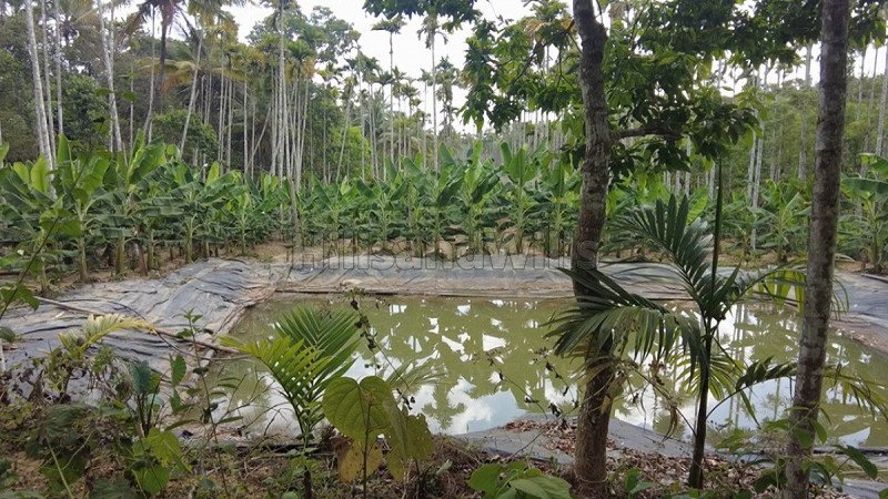 ₹1.80 Cr | 6bhk independent house for sale  in kenichira wayanad