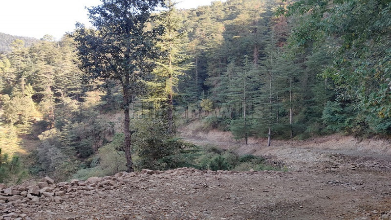 ₹20 Cr | 110 bigha commercial land  for sale in patgehar shimla