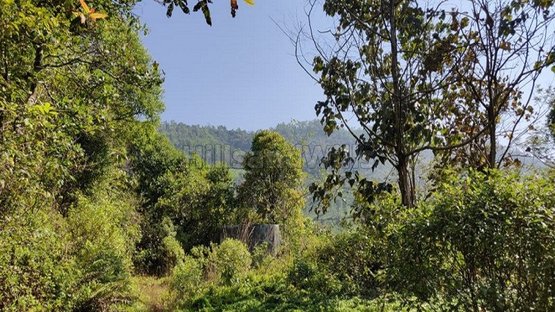 ₹2 Cr | 4 acres agriculture land for sale  in kalasa, samse chikmagalur