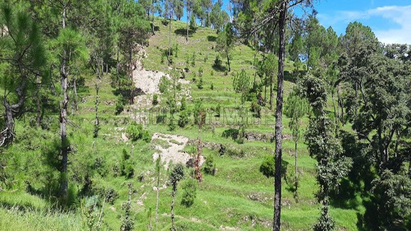 ₹24 Lac | 300 sq.yards residential plot for sale in sunderkhal nainital