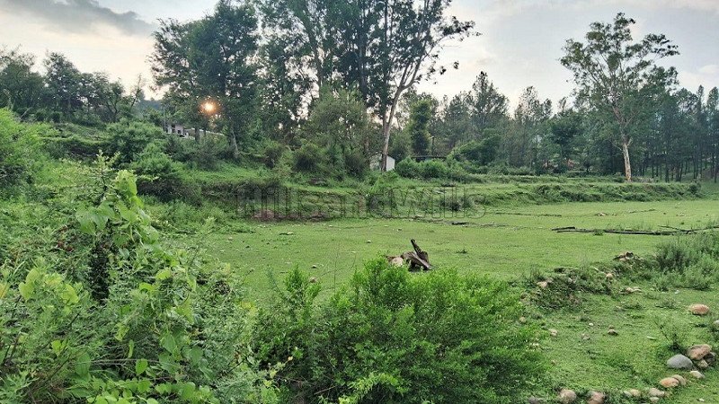 ₹52 Lac | 11000 sq.ft. residential plot for sale  in kosi, almora near nainital