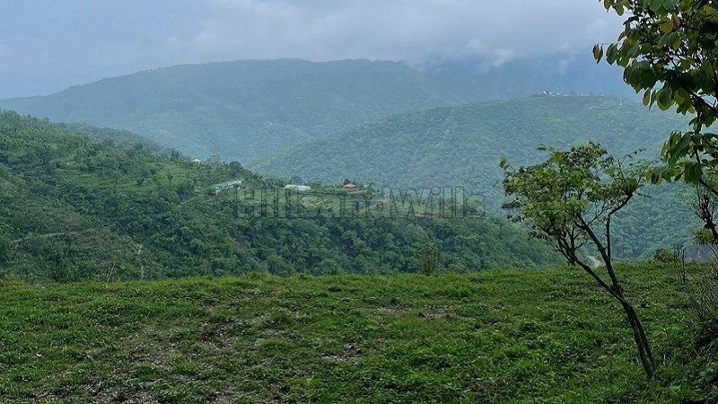 ₹40 Lac | 7 bigha agriculture land for sale  in itharana bhogpur dehradun