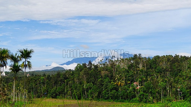 ₹2 Cr | 4 acres agriculture land for sale in sulthan bathery wayanad