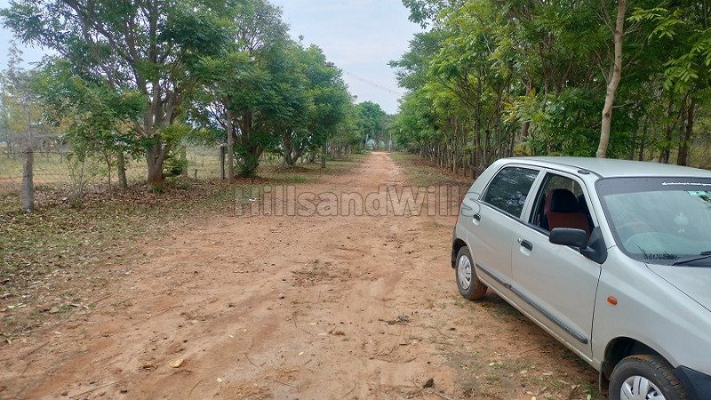 ₹15 Lac | 25 cents residential plot for sale  in thalavadi near nilgiris