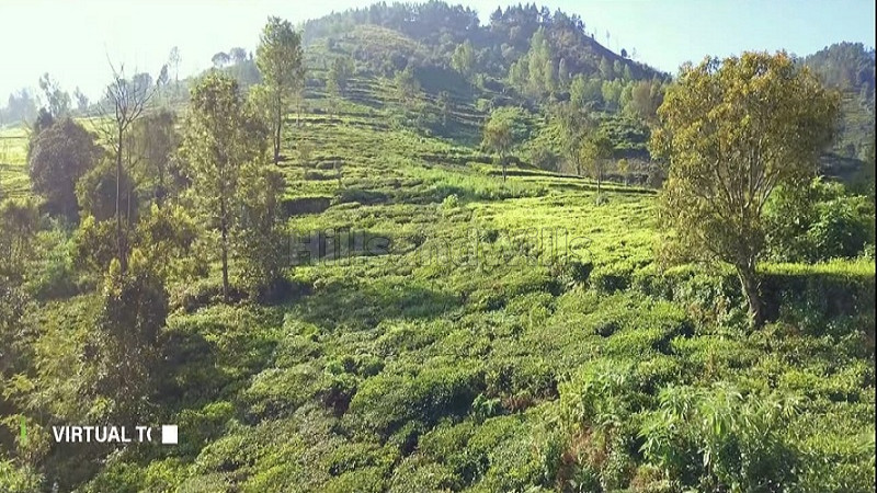 ₹13.75 Cr | 12.5 acres agriculture land for sale in bettati kotagiri