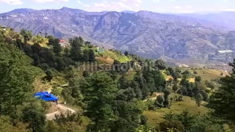 ₹80 Lac | 1.5 bigha  agriculture land suitable for apple orchard for sale  in fagu shimla