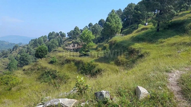 ₹80 Lac | 4 bigha residential plot for sale in jihar almora near nainital