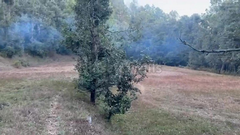 ₹75 Lac | 750 sq.meter residential plot for sale  in paudhar almora