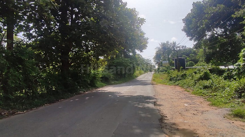 ₹2.50 Cr | 10 acres agriculture land for sale in ambalavayal wayanad