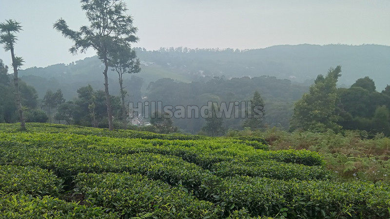 ₹3.60 Cr | 60 cents residential plot for sale in between kotagiri and coonoor