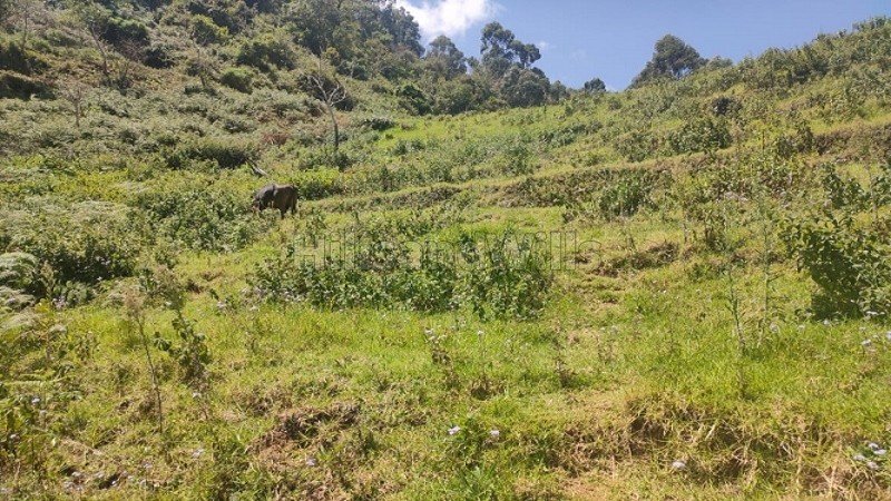 ₹30 Lac | 5 cents residential plot for sale  in prakasapuram kodaikanal