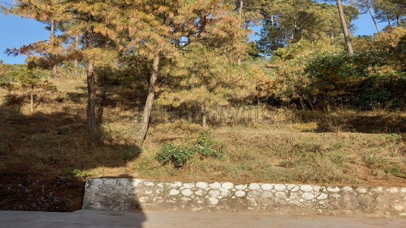 ₹2.60 Cr | 34 biswa residential plot for sale  in barog solan