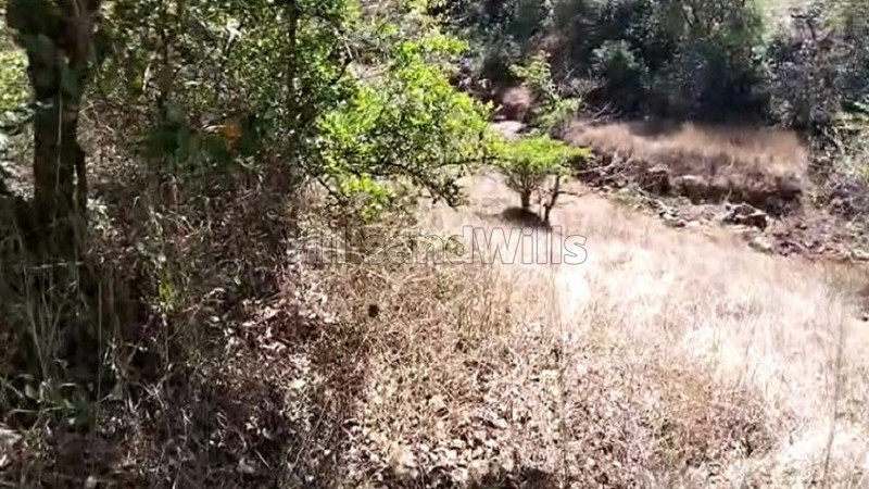 ₹35 Lac | 2 acres agriculture land for sale in birmani mahabaleshwar