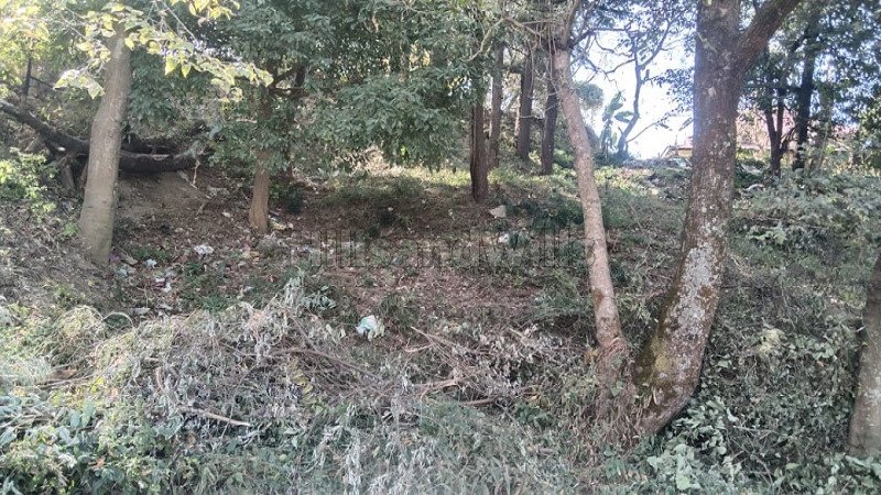 ₹7.20 Cr | 1830 sq.meter residential plot for sale  in kotla solan