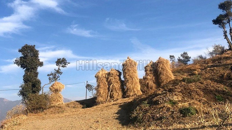 ₹75 Lac | 316 sq.yards  himalayan view residential plot for sale  in kaphlani mussoorie