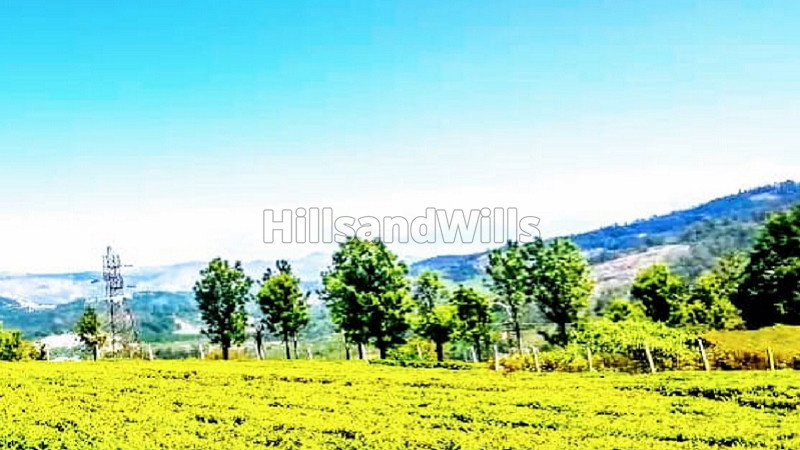 ₹16.80 Cr | 28 acres agriculture land for sale in kotagiri