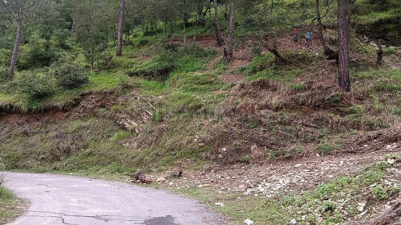 ₹1.25 Cr | 1000 sq.meter residential plot for sale in nathuakhan, mukteshwar nainital