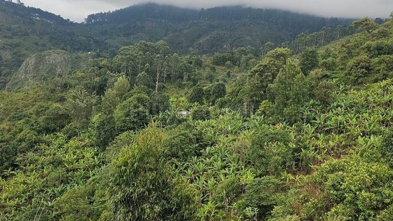 ₹7.26 Cr | 22 acres agriculture land for sale  in vadakavunji kodaikanal