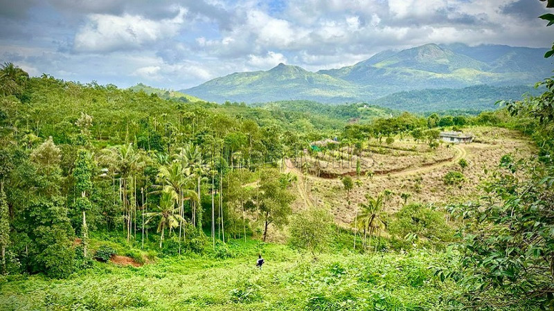 ₹56.10 Lac | 165 cents residential plot for sale in korome wayanad