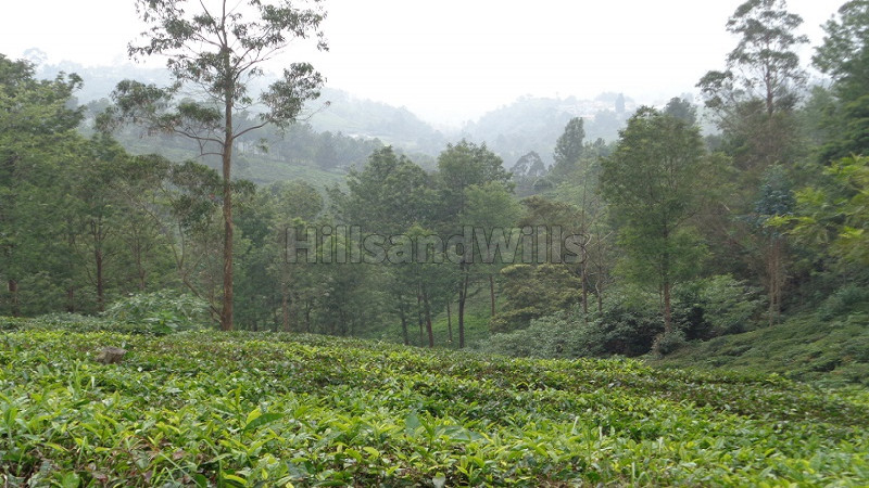 ₹5.40 Cr | 12 acres Agriculture Land For Sale in Mukkaty Ooty