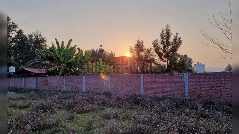 ₹1.75 Cr | 1170 sq.yards agriculture land for sale  in chowki dhaulas dehradun