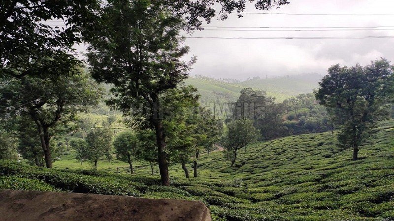 ₹75 Lac | 300 cents agriculture land for sale  in erumad gudalur