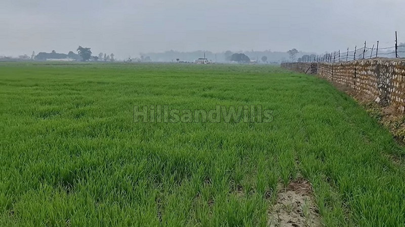 ₹2 Cr | 8 bigha agriculture land for sale in jim corbett national park ramnagar near nainital