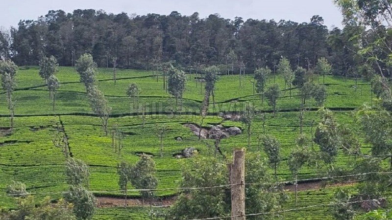 ₹1.12 Cr | 25 cents residential plot for sale  in hulical coonoor