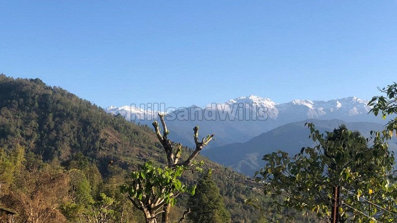 ₹70 Lac | 1 acres agriculture land for sale  in kalimpong darjeeling
