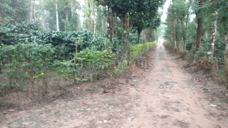 ₹80 Lac | 2 acres agriculture land for sale in kutta coorg