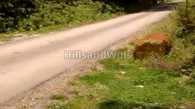 ₹80 Lac | 1.5 bigha  agriculture land suitable for apple orchard for sale  in fagu shimla