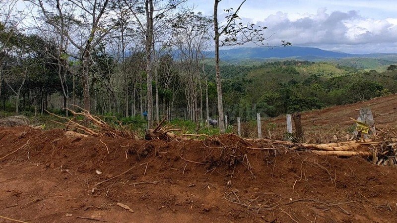 ₹40 Lac | 1 acres rubber estate for sale in mananthavady wayanad