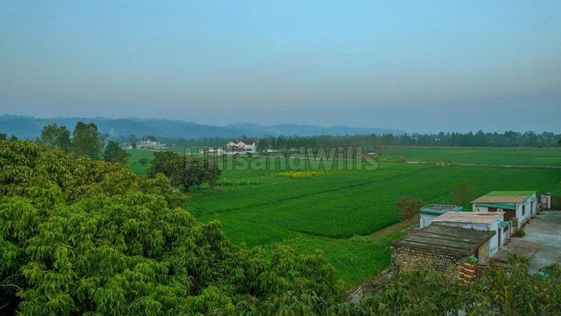₹2.10 Cr | 5.25 bigha  homestay farmhouse land for sale  in jimcorbett, ramnagar near nainital