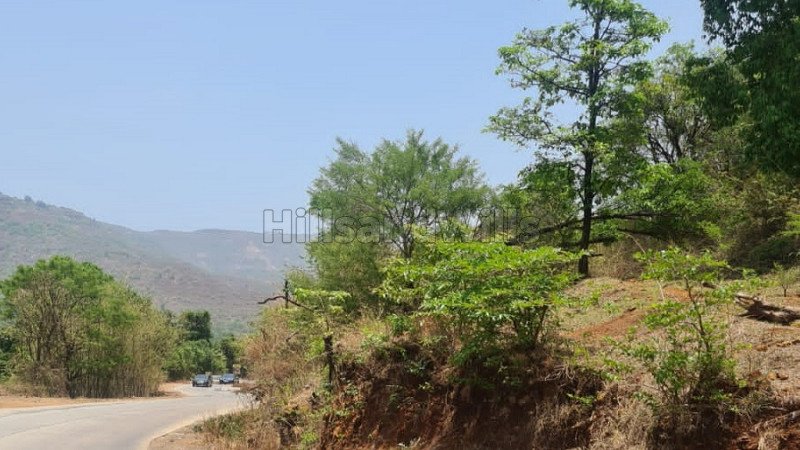 ₹17 Cr | 17 acres agriculture land for sale  in nadgane mahabaleshwar