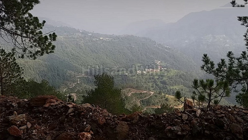 ₹3 Cr | 6 bigha agriculture land for sale in shimla