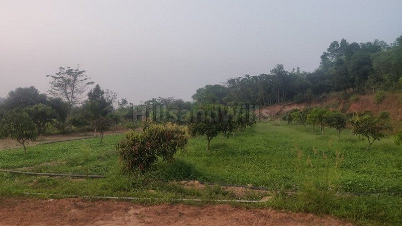 ₹2 Cr | 2bhk farm house for sale  in sringeri chikmagalur