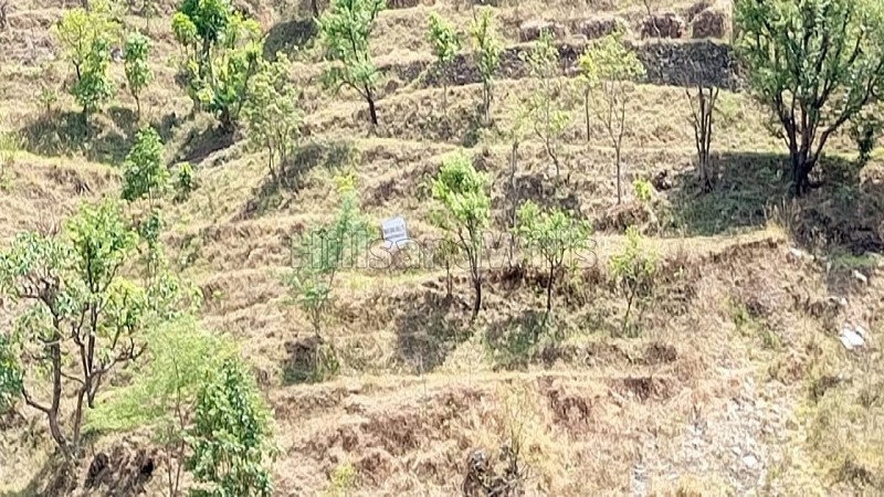 ₹15 Lac | 110 sq.yards residential plot for sale  in agrakhal, narendra nagar near rishikesh