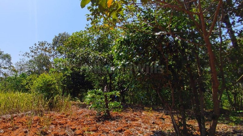 ₹1.20 Cr | 6 acres residential plot for sale  in vimalanagar mananthavady wayanad