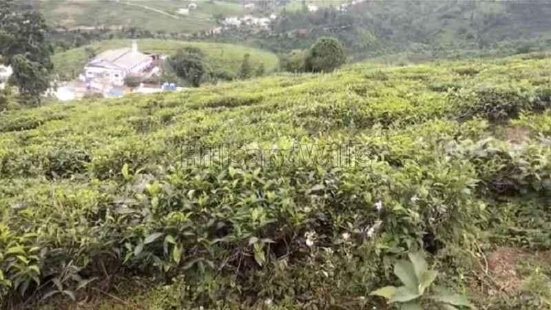 ₹1.40 Cr | 25000 sq.ft. agriculture land for sale in selas hullical coonoor