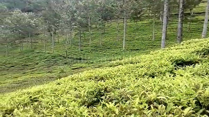₹1.30 Cr | 5 cents residential plot for sale  in kannerimukku kotagiri