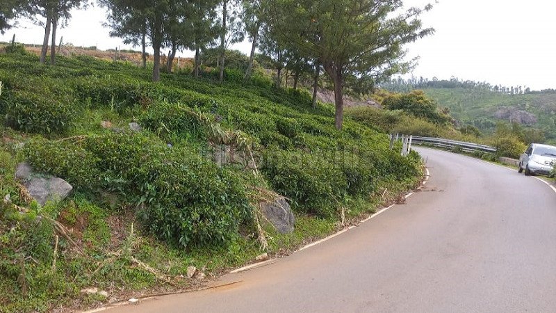 ₹36 Lac | 12 cents residential plot for sale  in thumanatty ooty