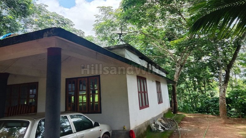₹2.20 Cr | 4 acres agriculture land for sale  in nadavayal wayanad