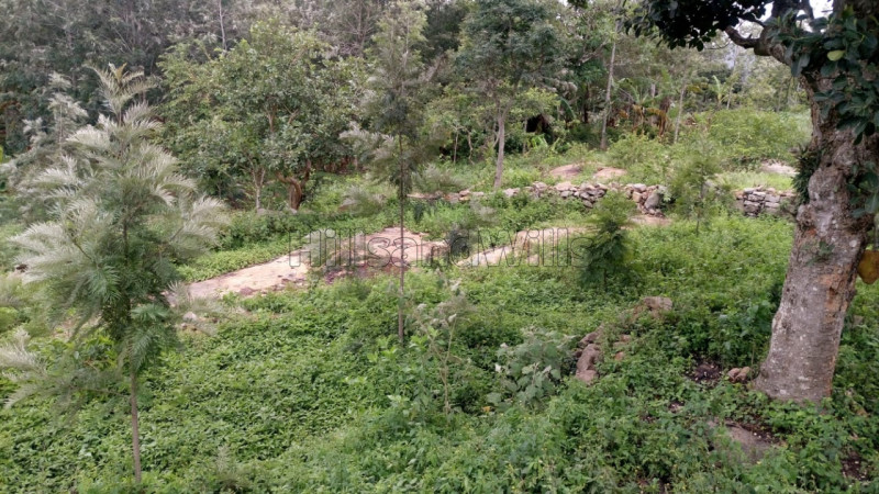 ₹1 Cr | 2.2 acres agriculture land for sale in kolli hills