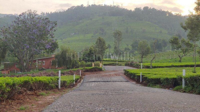 ₹1 Cr | 40 cents estate plots for sale  in kotagiri ooty