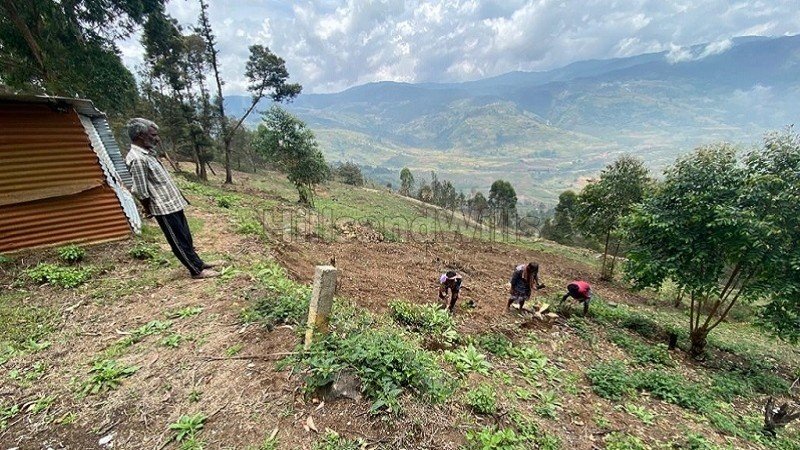 ₹50 Lac | 1bhk  european style cottage for sale  in mannavanur kodaikanal