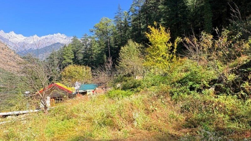 ₹2.25 Cr | 6534 sq.ft. commerical land for sale  in kasol kullu-manali