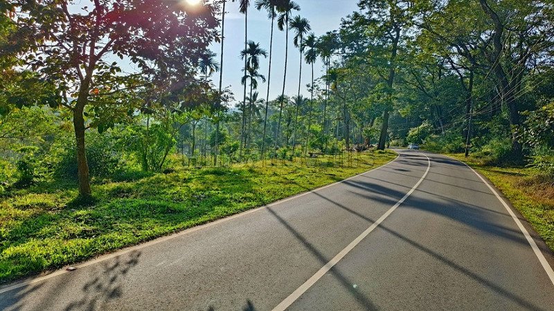 ₹75 Lac | 110.5 cents residential plot for sale  in bathery wayanad