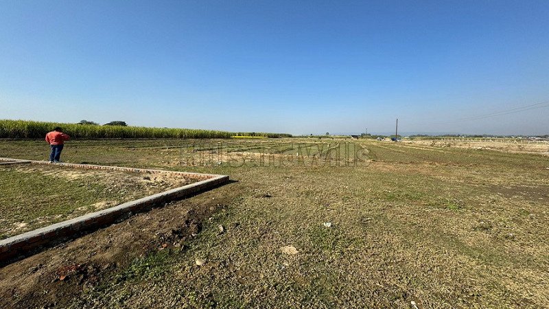 ₹15 Lac - 75 Lac | 100 sq.yards - 500 sq.yards residential plot for sale  in doiwala dehradun