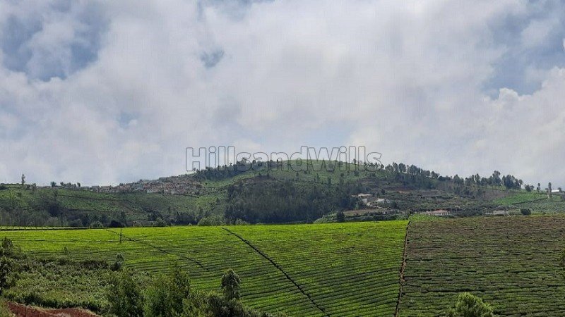 ₹2 Cr | 3bhk independent house for sale  in hubathalai coonoor